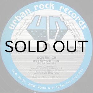 画像: Cousin Ice – It's A New Day