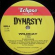 画像1: Dynasty – Wildcat / Poisonous Youth