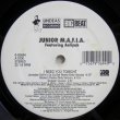 画像1: Junior M.A.F.I.A. featuring Aaliyah – I Need You Tonight
