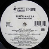 画像: Junior M.A.F.I.A. featuring Aaliyah – I Need You Tonight