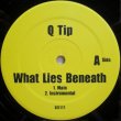 画像1: Q-Tip – What Lies Beneath