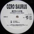 画像1: Ozro Saurus – 絶望の市場 (Indopepsychics Remix)