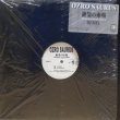 画像2: Ozro Saurus – 絶望の市場 (Indopepsychics Remix)