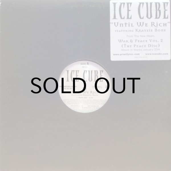 画像2: Ice Cube – Until We Rich
