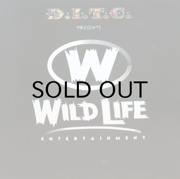 画像1: DITC Presents: WILD LIFE ENTERTAINMENT