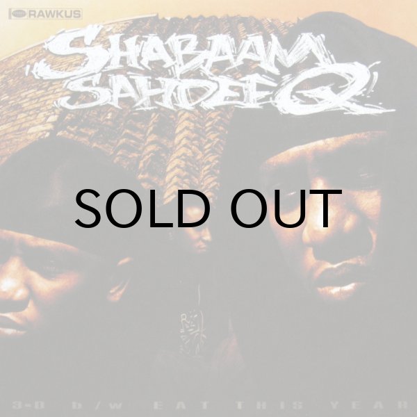 画像1: SHABAAM SAHDEEQ / 3-D