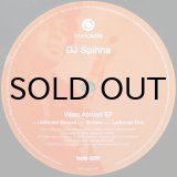 画像: DJ SPINNA / VIBES ABROAD EP