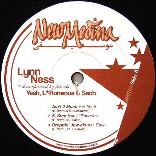 画像1: Lynn Ness - Ain't 2 Much