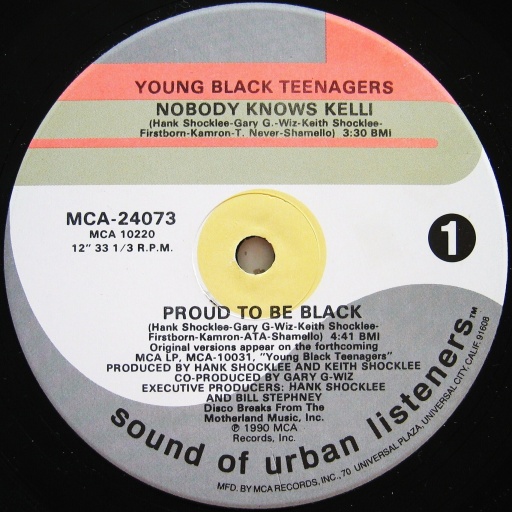 画像1: Young Black Teenagers / Nobody Knows Kelli