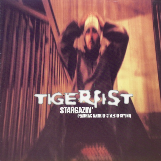 画像1: Tigerfist – Stargazin' 