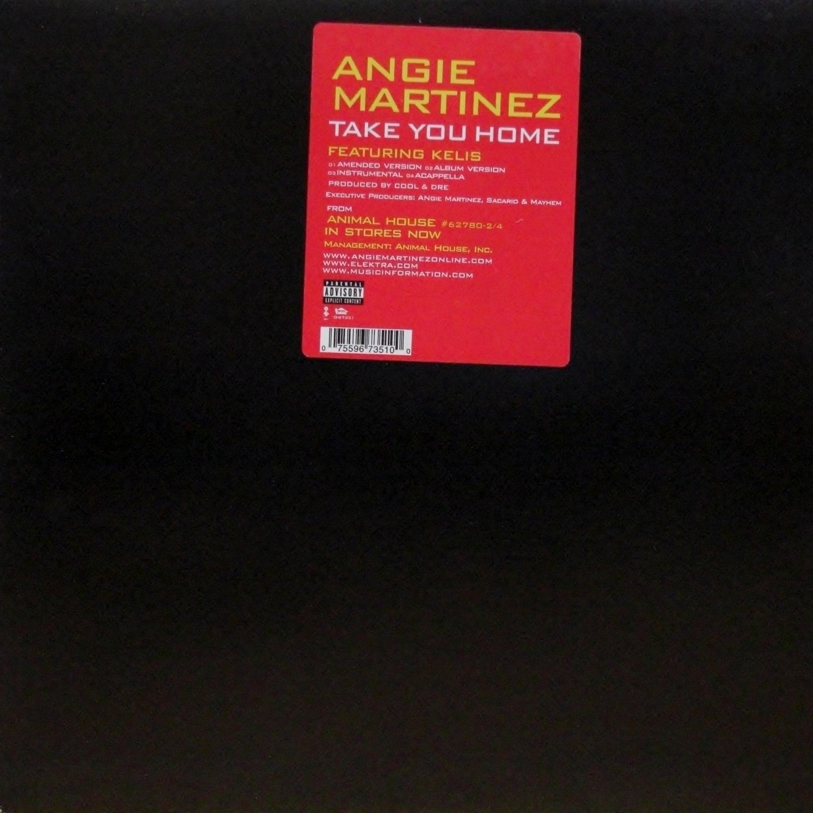 画像1: Angie Martinez – Take You Home