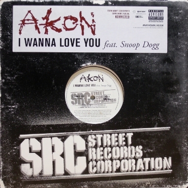 画像2: Akon feat. Snoop Dogg – I Wanna Love You