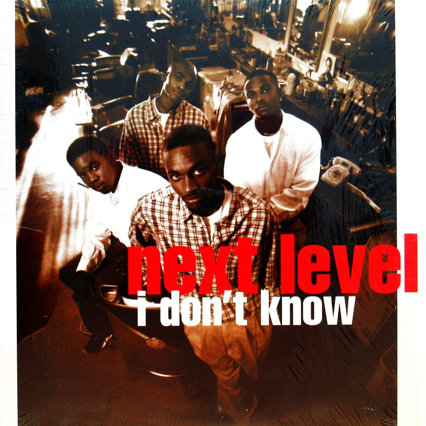 画像1: NEXT LEVEL / I DON'T KNOW